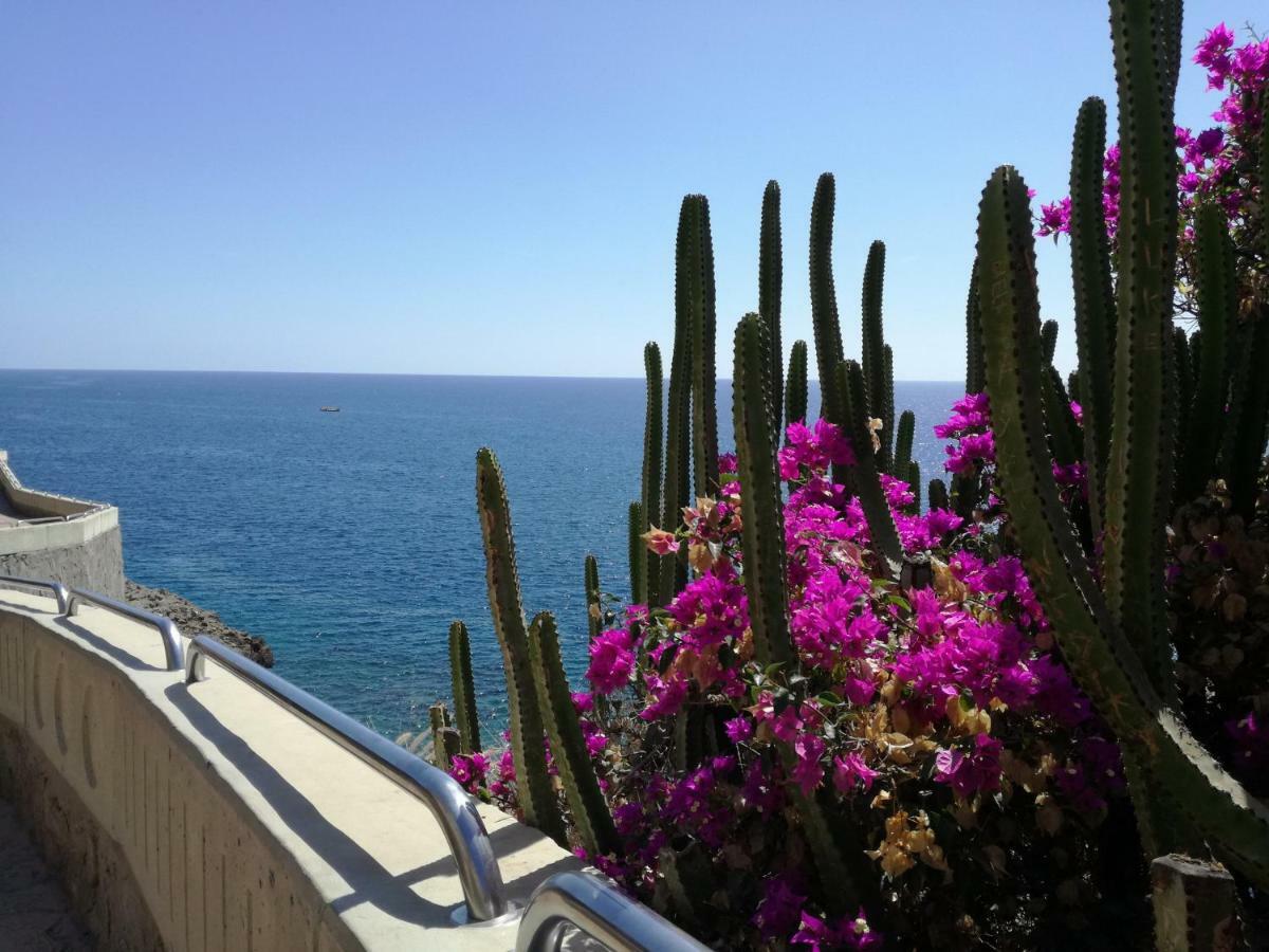 Apt With Terrace Facing Amadores Beach Kültér fotó